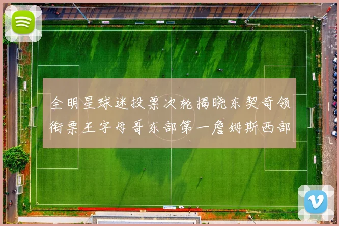 全明星球迷投票次轮揭晓东契奇领衔票王字母哥东部第一詹姆斯西部第八