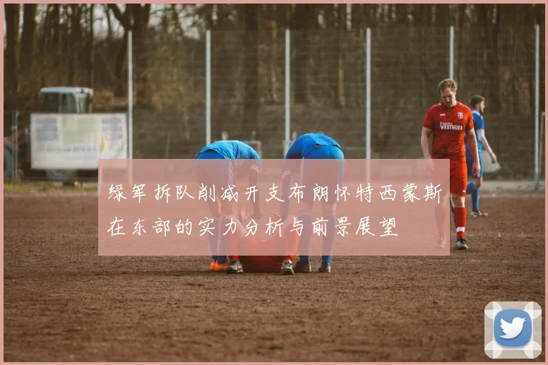 绿军拆队削减开支布朗怀特西蒙斯在东部的实力分析与前景展望